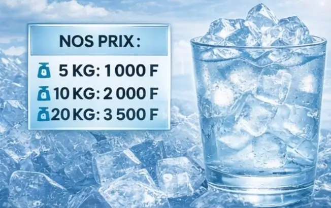 Vente de Glaçons Brandi Services