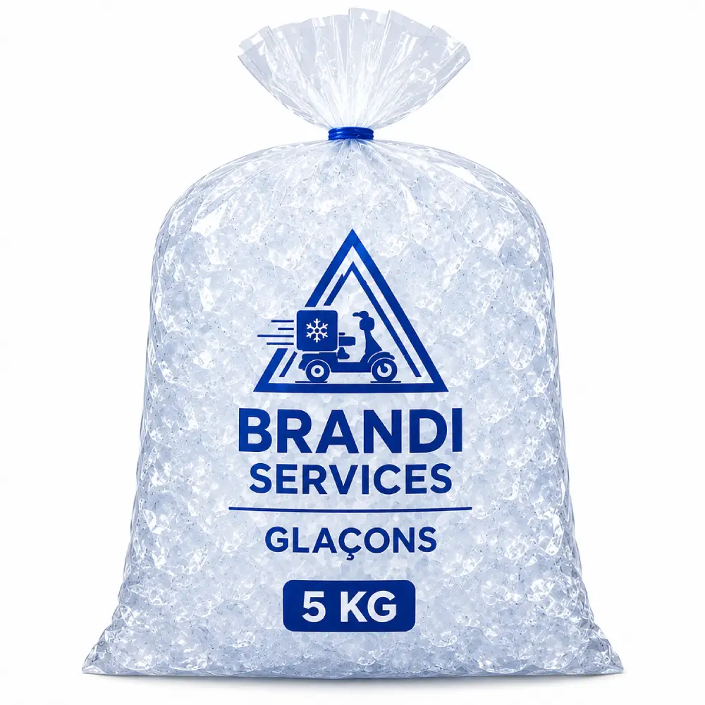 Sac de glaçons 5Kg